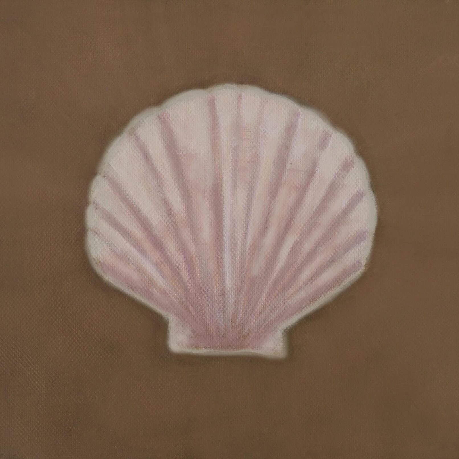 Maira Stefou | Shell, 2024