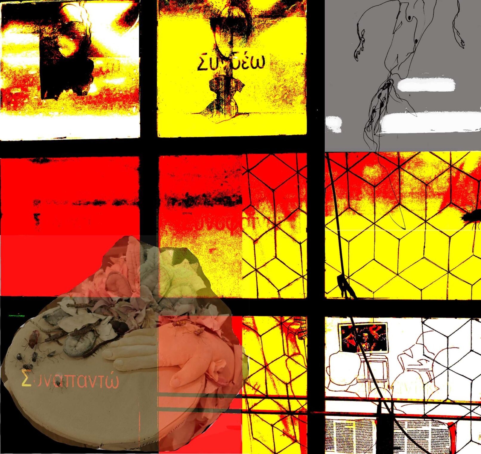 Co-evolution Group digital image, 2024
